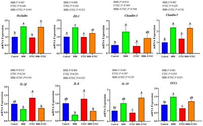 Microbiome and metabolome analyses reveal significant alterations of gut microbiota and bile acid metabolism in ETEC-challenged weaned piglets by dietary berberine supplementation